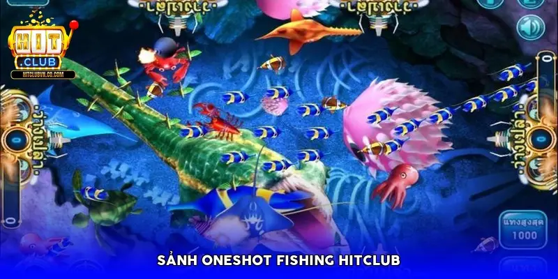 Sảnh Oneshot Fishing HitClub